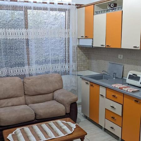 David Guesthouse Szkodra Zewnętrze zdjęcie